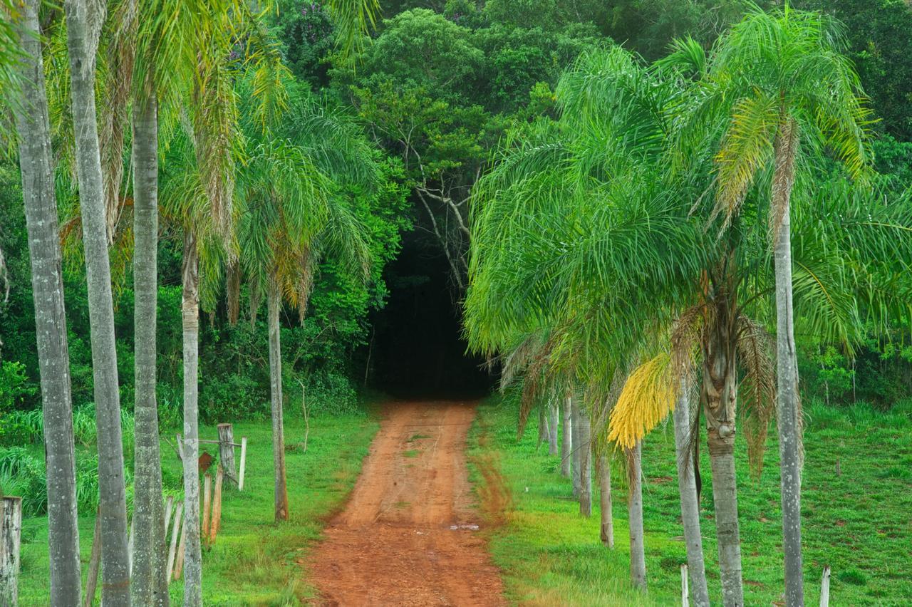 La Mision Mocona - Lodge De Selva Saltos del Moconá Екстериор снимка