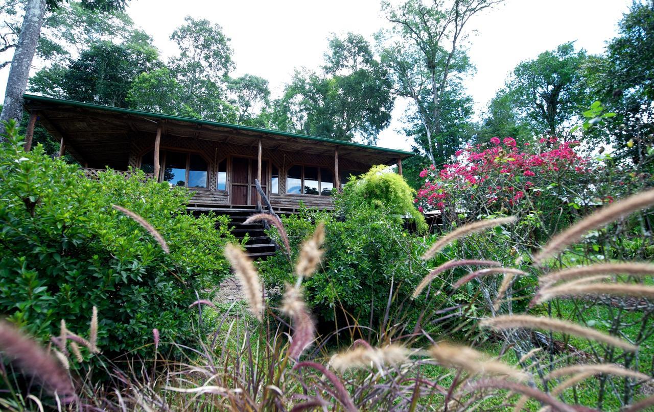 La Mision Mocona - Lodge De Selva Saltos del Moconá Стая снимка