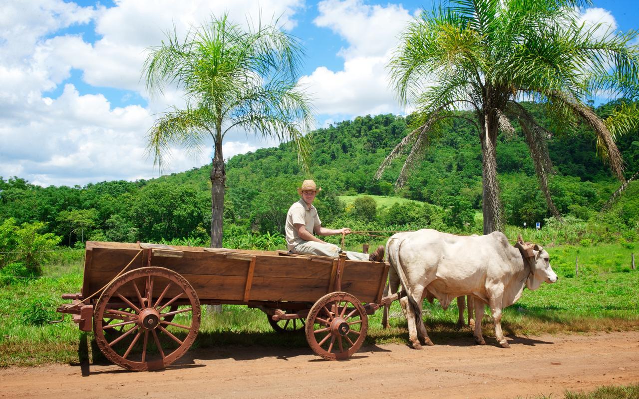 La Mision Mocona - Lodge De Selva Saltos del Moconá Екстериор снимка
