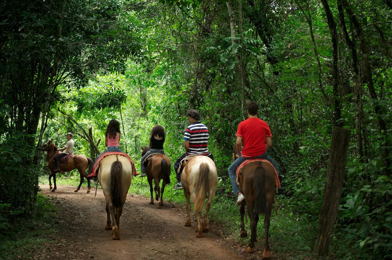 La Mision Mocona - Lodge De Selva Saltos del Moconá Екстериор снимка