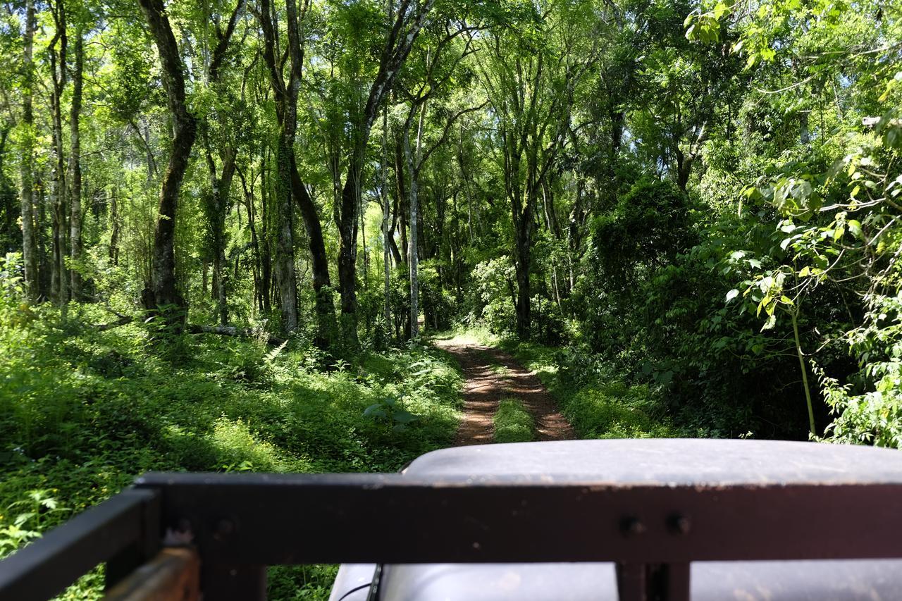 La Mision Mocona - Lodge De Selva Saltos del Moconá Екстериор снимка