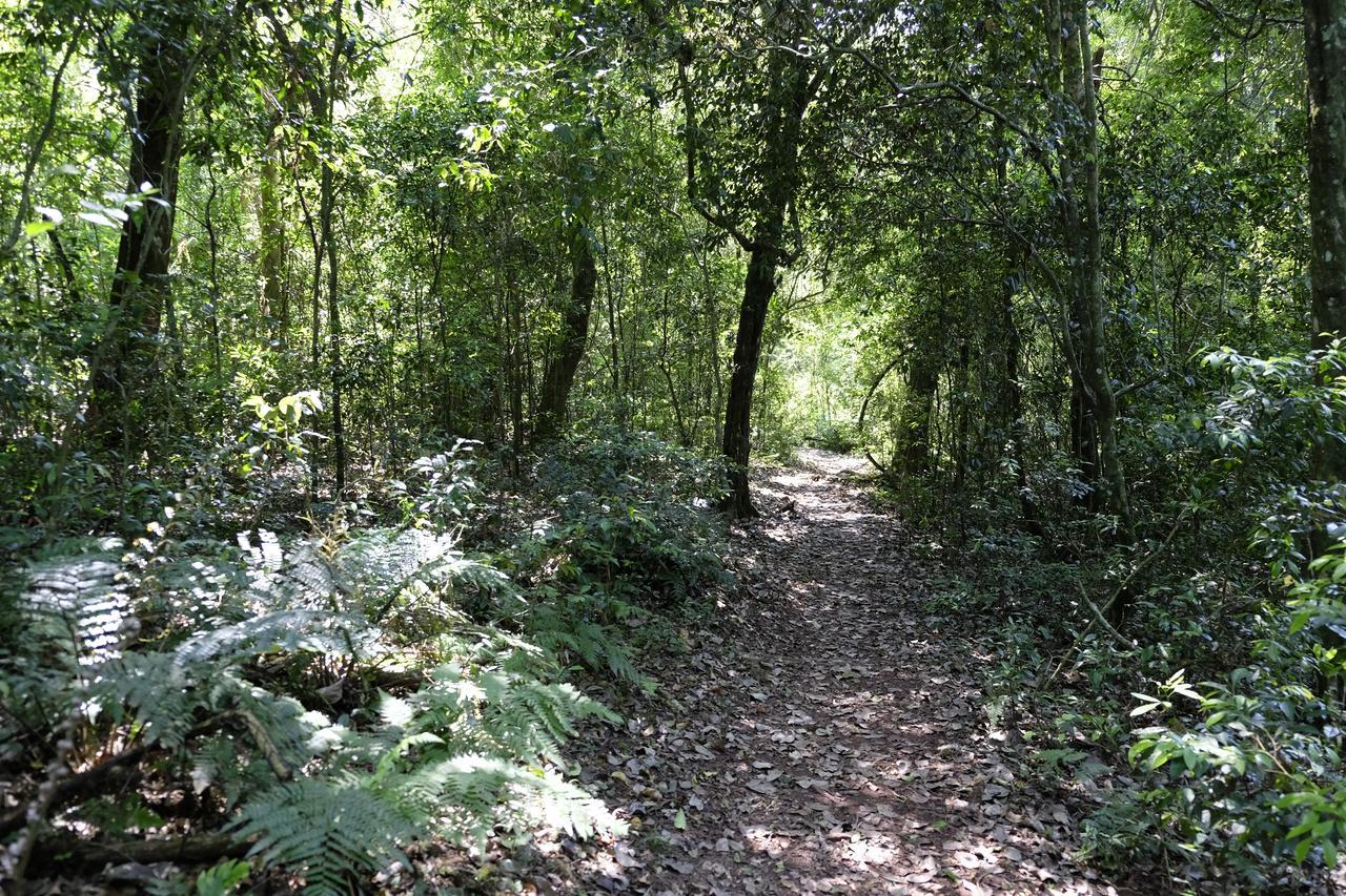 La Mision Mocona - Lodge De Selva Saltos del Moconá Екстериор снимка